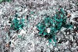 Rare Blue-Green Rouaite w/ Malachite & Cuprite - DR Congo #317272-1